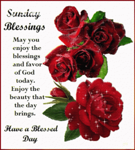 Sunday Blessings Have ABlessed Day GIF