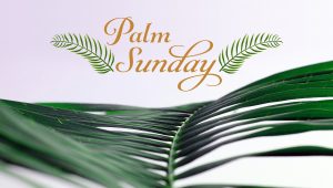 The Best Palm Sunday Quotes