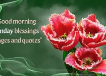 Good morning Sunday blessings images and quotes